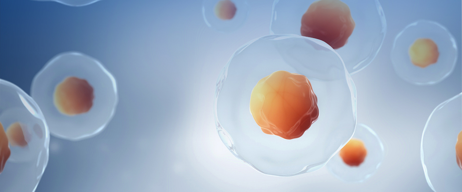 Using innovation and quality<br>Improving Life and Health